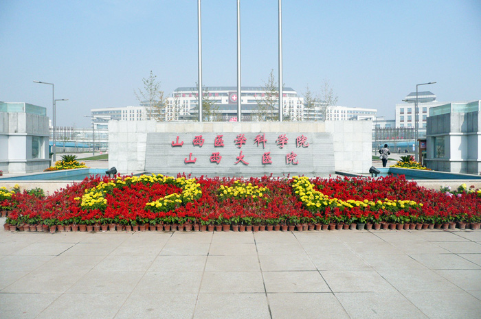 ɽ����ͬ�t(y��)Ժ�(xi��ng)Ŀ